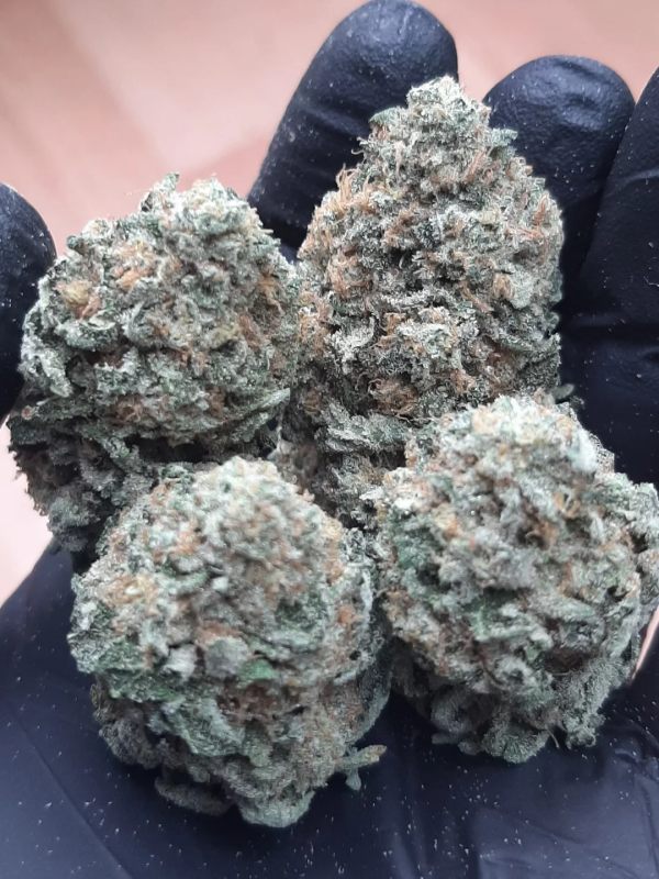 Instagram Lemon Cherry Runtz