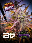 Instagram Mango Cherry Runtz Auto™