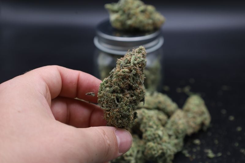 Instagram Pineapple OG Auto