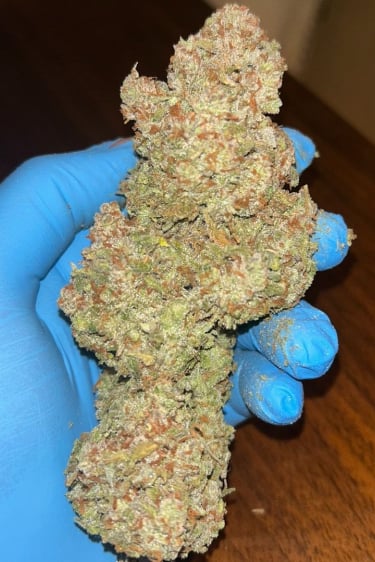 Instagram Apple Strudel Auto