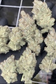 Instagram Strawberry Gorilla Auto
