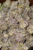 Instagram Banana Purple Punch Auto