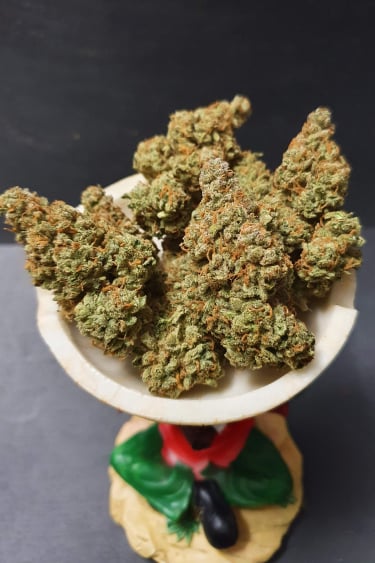 Instagram Bruce Banner Auto