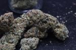 Instagram Mendo Frost Auto™