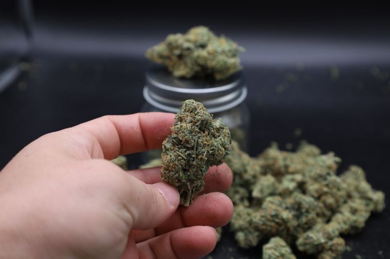 Instagram GMO Auto