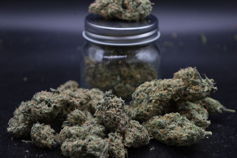 Instagram Garlic Mint Sherbet Auto