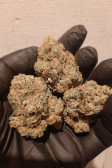 Instagram Gorilla Melon™