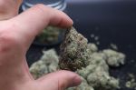 Instagram Sundae Frost Auto™