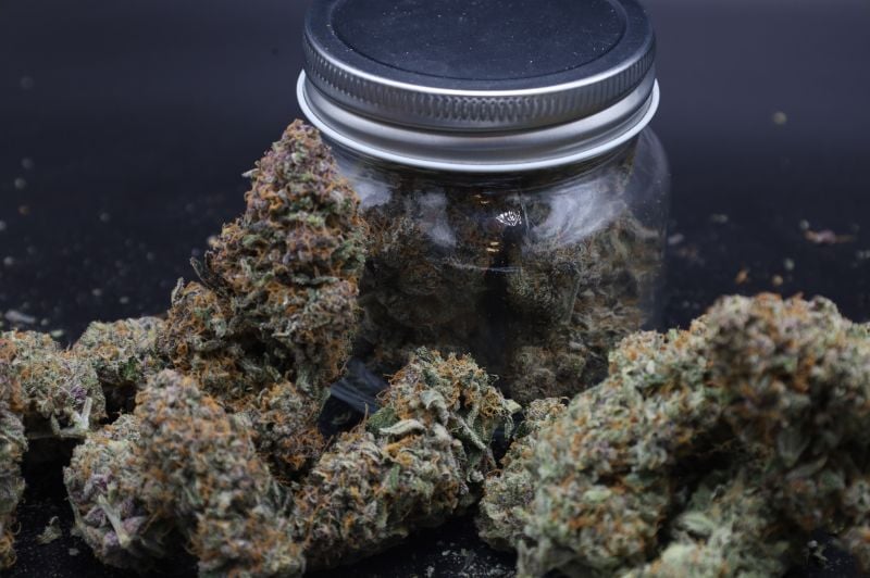 Instagram Mendo Cherry Cookies Auto