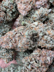 Instagram Cherry Cola Auto