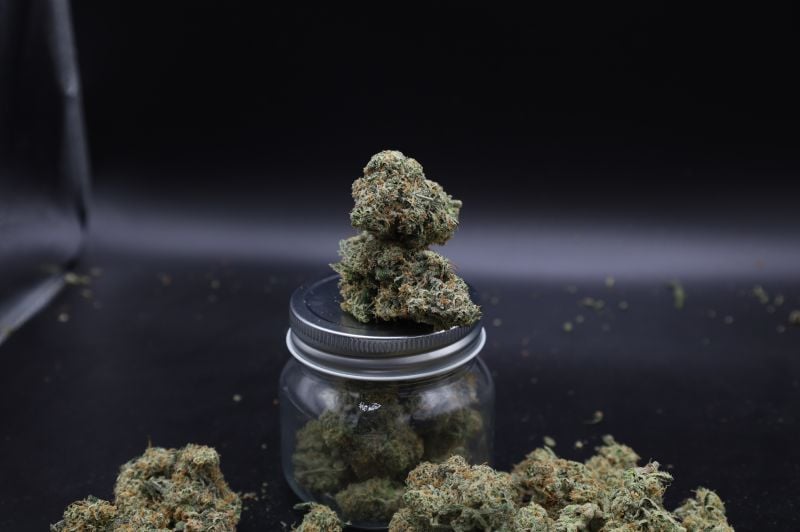 Instagram GMO Auto