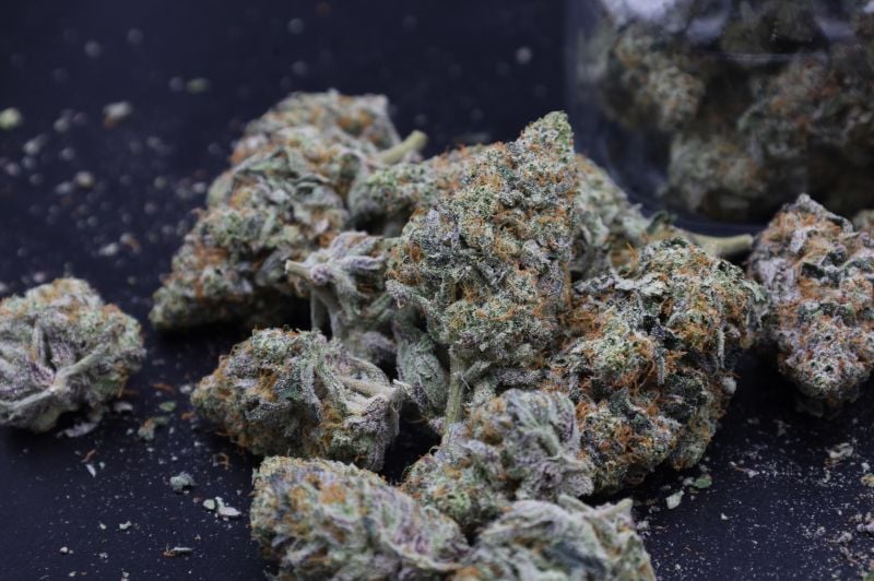 Instagram Mendo Guava Auto