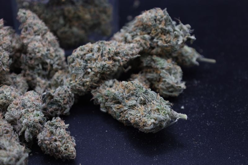 Instagram Garlic Mint Sherbet Auto
