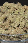 Instagram White Widow Auto