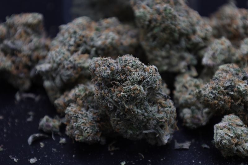 Instagram GMO Auto