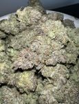 Instagram Papaya Cookies Auto™