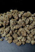 Instagram Gorilla Cookies FF