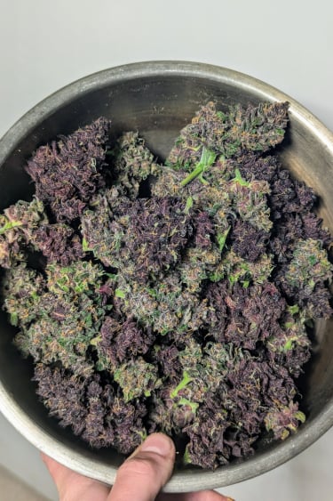 Instagram Blackberry Auto