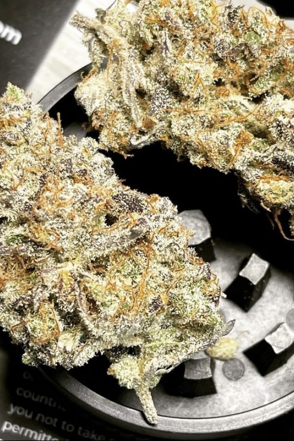 Instagram Hemp grinder