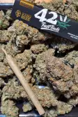 Instagram Gorilla Z Auto