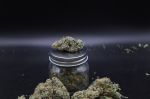 Instagram Garlic Mint Sherbet Auto™