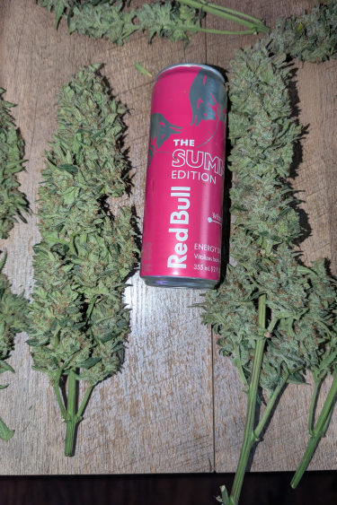 Instagram Super Boof Auto