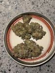 Instagram Guava Runtz Auto™
