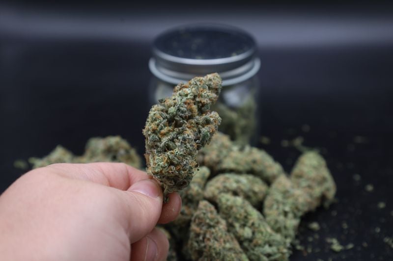 Instagram Pineapple OG Auto