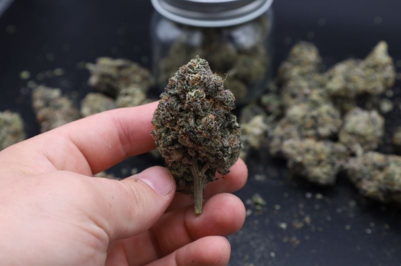 Instagram Mango Frost Auto