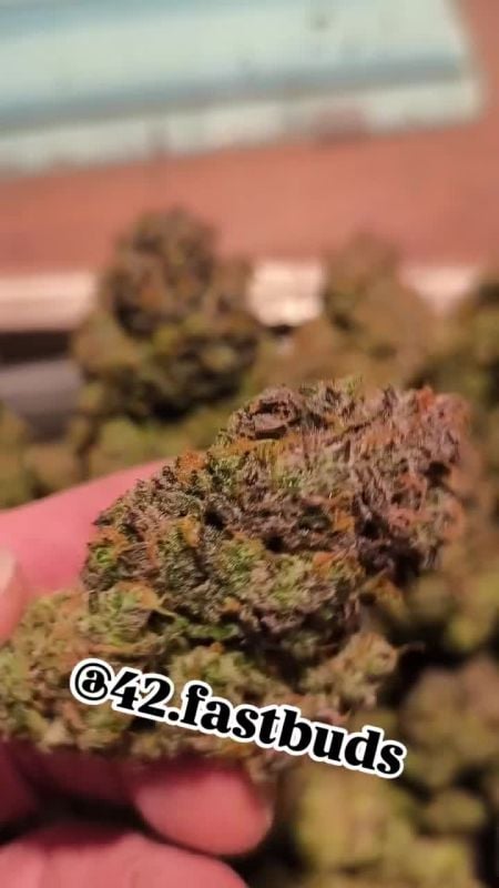 Strawberry Gorilla Auto @devel_grow IG 