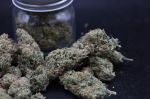 Instagram Garlic Mint Sherbet Auto™