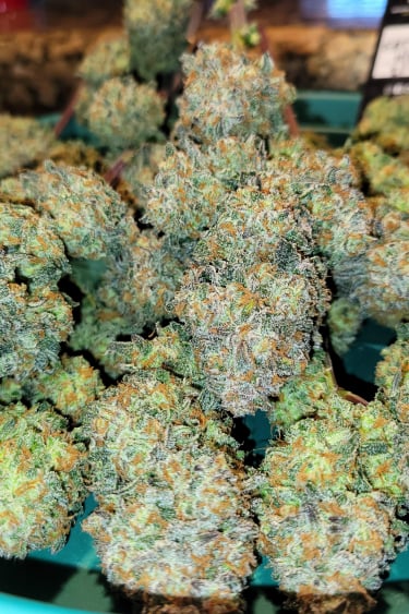 Instagram Apple Strudel Auto