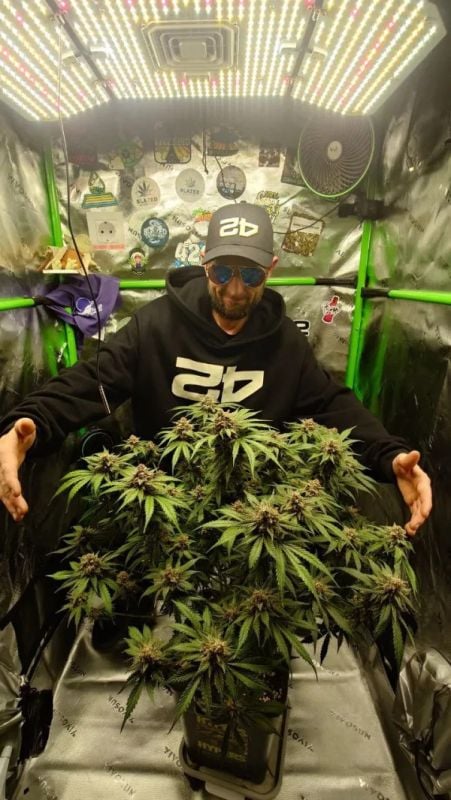 Instagram Cherry Cola Auto RF3