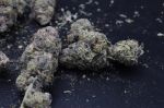 Instagram Mango Frost Auto™