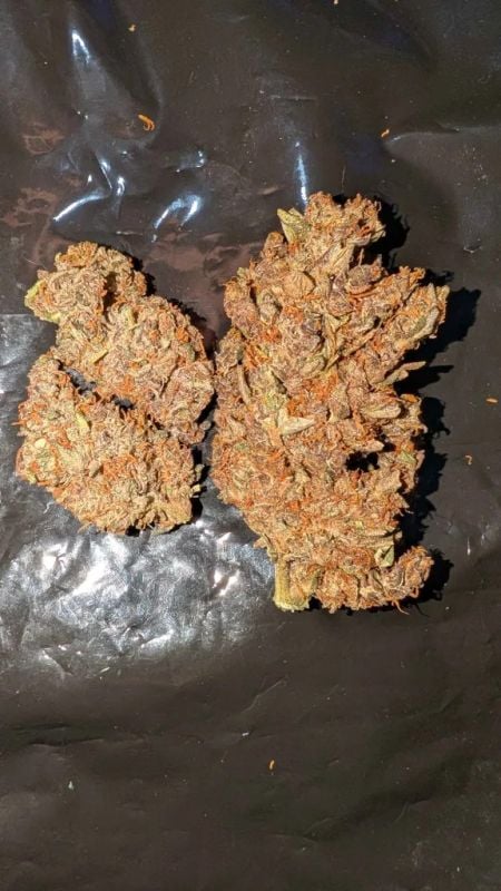 Instagram Mango Cherry Runtz Auto