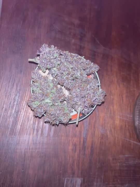 Lemon Cherry Cookies Auto @JoExotic GD 