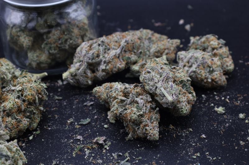 Instagram Mendo Guava Auto