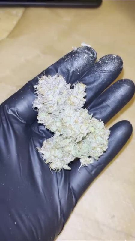 Purple Punch Auto @philippovic0620 DIS 