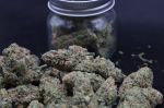 Instagram Pineapple OG Auto™