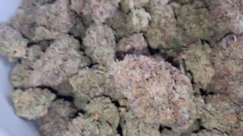 Guava Auto @gitty1625 DIS 