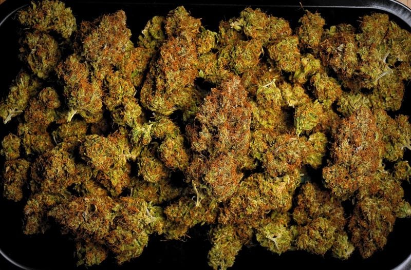 AUTO | Guava Runtz Auto™