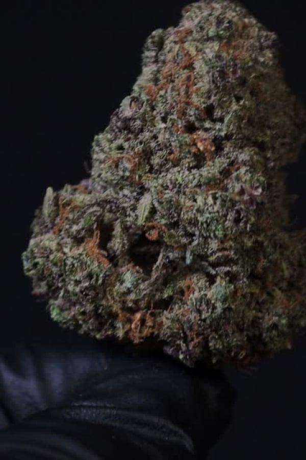 Cherry Cola Auto RF3