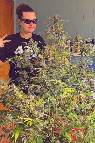 Instagram Gorilla Z Auto