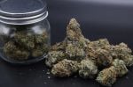 Instagram Guava Runtz Auto™