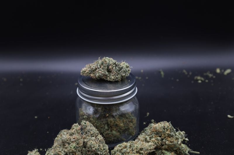 Instagram Garlic Mint Sherbet Auto