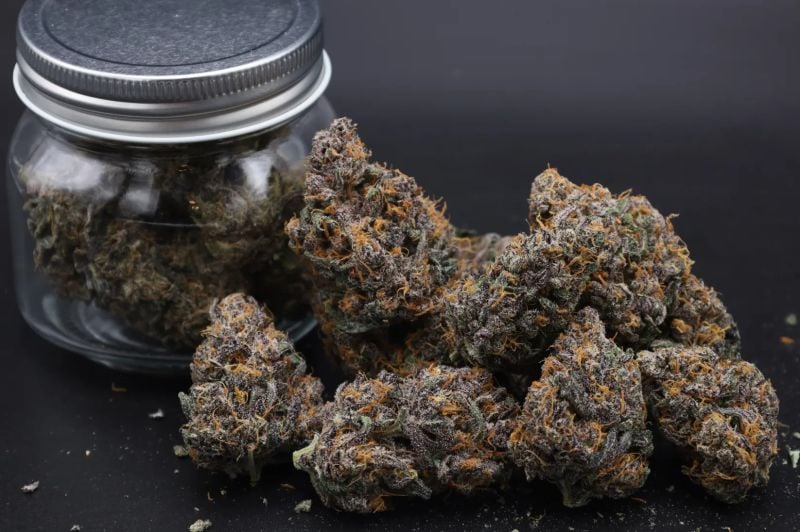 Instagram Mango Cherry Runtz Auto
