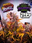 Instagram Mango Cherry Runtz Auto™