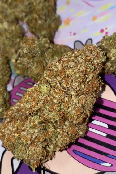 Instagram Trainwreck Auto