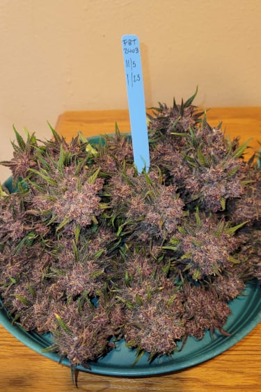 Instagram Lemon Cherry Cookies Auto