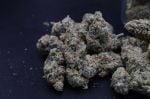 Instagram Pineapple OG Auto™